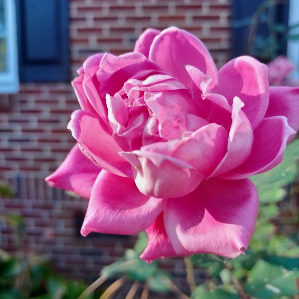 Meet your Posher, Britt